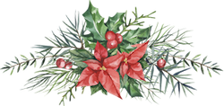 holiday plant